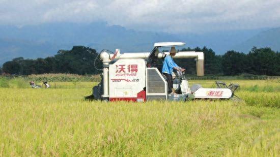 湖南江永13萬余畝早稻全程機械化高效搶收  第1張