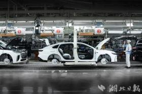 對話嵐圖汽車首席執(zhí)行官盧放：讓中國民族汽車品牌向上  第4張