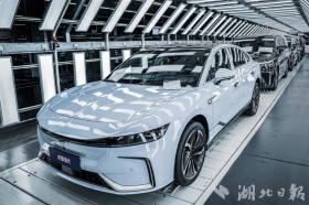 對話嵐圖汽車首席執(zhí)行官盧放：讓中國民族汽車品牌向上  第5張