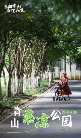 普降5-6℃！青山“大自然空調”免費又涼快  第1張