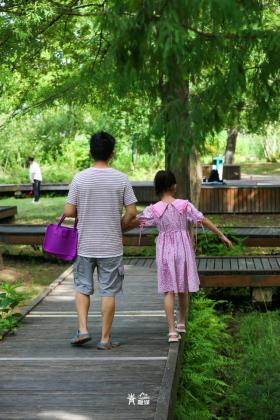 普降5-6℃！青山“大自然空調”免費又涼快  第3張