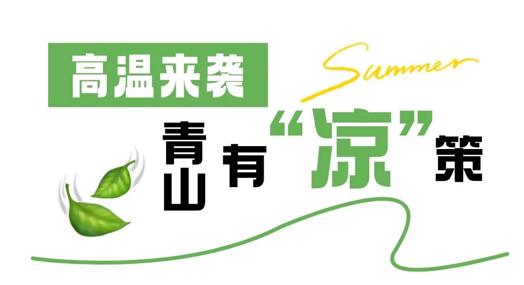 普降5-6℃！青山“大自然空調”免費又涼快  第4張