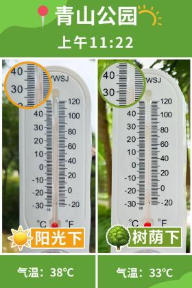 普降5-6℃！青山“大自然空調”免費又涼快  第5張