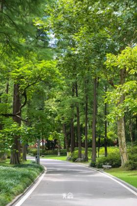 普降5-6℃！青山“大自然空調”免費又涼快  第7張