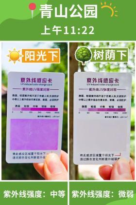 普降5-6℃！青山“大自然空調”免費又涼快  第6張