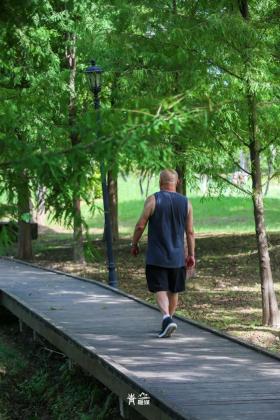 普降5-6℃！青山“大自然空調”免費又涼快  第20張