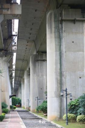 普降5-6℃！青山“大自然空調”免費又涼快  第32張