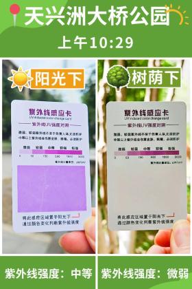 普降5-6℃！青山“大自然空調”免費又涼快  第42張