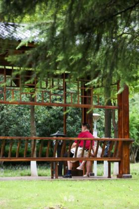 普降5-6℃！青山“大自然空調”免費又涼快  第44張