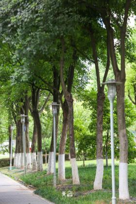 普降5-6℃！青山“大自然空調”免費又涼快  第47張