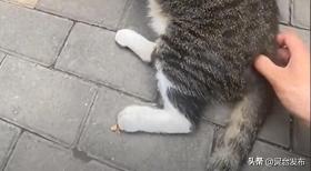 并非迷信，老話“出門四不摸”，指的是哪“4樣”?摸了會有可怕后果嗎？