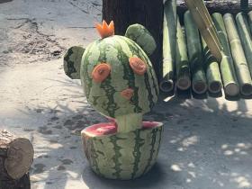 萌翻！大熊貓的“生日趴”！  第4張