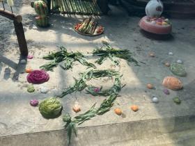 萌翻！大熊貓的“生日趴”！  第5張