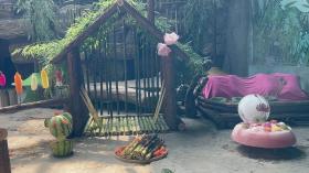 萌翻！大熊貓的“生日趴”！  第3張