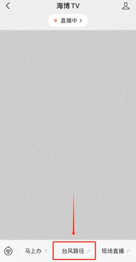 17級！臺風(fēng)“格美”又升級了  第4張