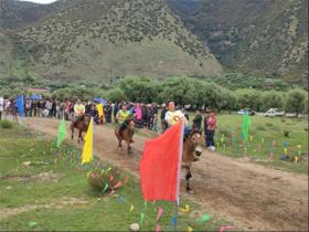 我們的家園  第1張