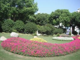 2016年，北京36歲女教授嫁給小10歲的農(nóng)村大專生，如今后悔了嗎？  第5張