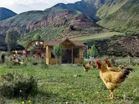 祖國好 家鄉(xiāng)美青海門源：解鎖村集體經(jīng)濟(jì)發(fā)展“流量密碼”  第2張