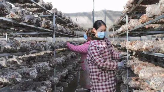 祖國好 家鄉(xiāng)美青海門源：解鎖村集體經(jīng)濟(jì)發(fā)展“流量密碼”  第3張