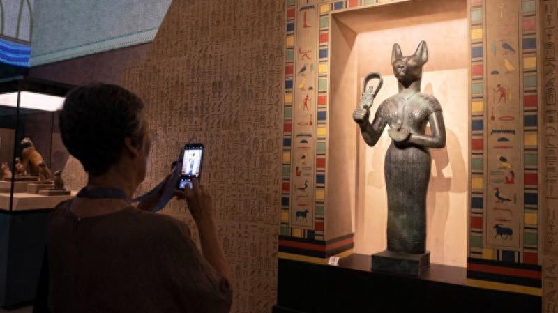 本周末寵物貓將首次在博物館聚會(huì)！貓主人應(yīng)該做好哪些準(zhǔn)備？