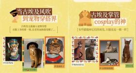 本周末寵物貓將首次在博物館聚會！貓主人應(yīng)該做好哪些準備？  第2張