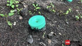 生態(tài)學(xué)博士馬文寶：我給翠云廊古柏當(dāng)“醫(yī)生”  第7張