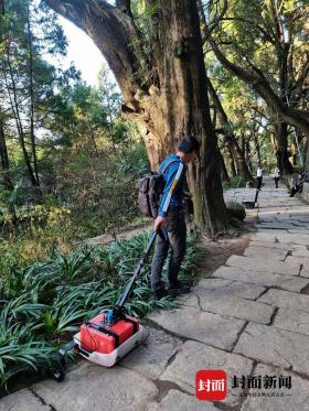 生態(tài)學(xué)博士馬文寶：我給翠云廊古柏當(dāng)“醫(yī)生”  第9張