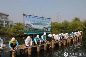 國能印尼爪哇發(fā)電公司舉辦紅樹林保護開放日活動  第1張