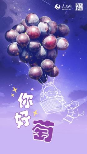 好品中國(guó)丨背山面海的“紫色傳奇”  第1張