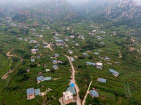 好品中國(guó)丨背山面海的“紫色傳奇”  第2張