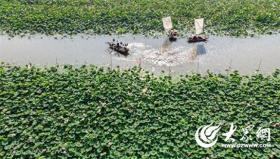 微山湖旅游區(qū)發(fā)布做好臺(tái)風(fēng)預(yù)警響應(yīng)工作的公告  第1張