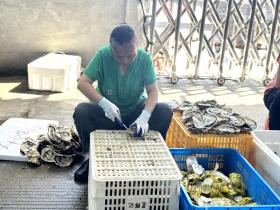 炎炎夏日，抓住這些“限定美食”的尾巴  第4張