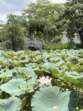 阿勒泰、洛陽、杭州……“一部劇帶火一座城”的下一站是惠州？  第3張