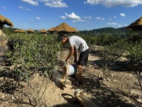 小火車喂雞直播引數(shù)萬人觀看 90后小伙上山做起“養(yǎng)雞博主”  第4張