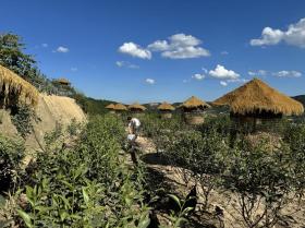小火車喂雞直播引數(shù)萬人觀看 90后小伙上山做起“養(yǎng)雞博主”  第6張