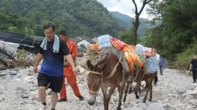 柞水營盤：“六村幫一村” 黨群合力搶險(xiǎn)自救渡難關(guān)  第3張