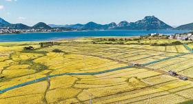 福清：生態(tài)式種田 呵護飲用水源