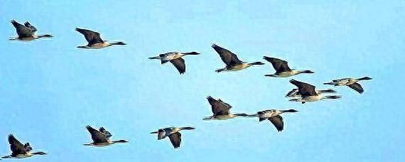 世路如今已慣，此心到處悠然  第1張